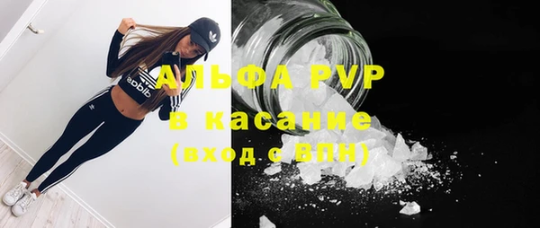 spice Аша