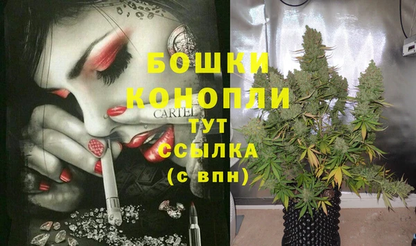 spice Аша