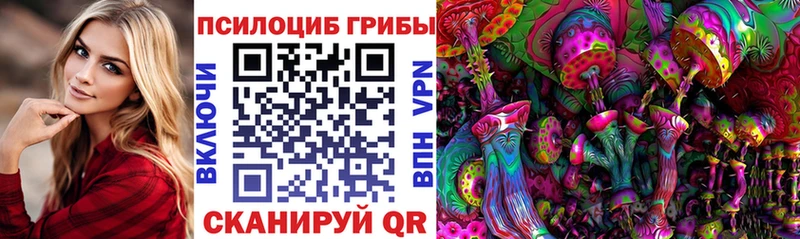где можно купить   мориарти как зайти  Псилоцибиновые грибы ЛСД  Змеиногорск 